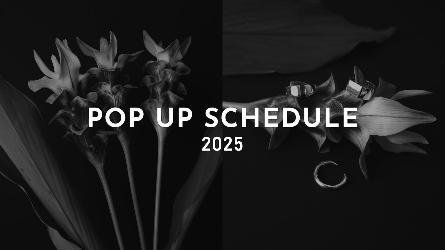 2025年 年内のPOP UP情報まとめ📢